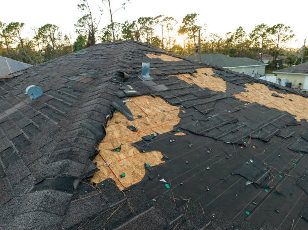 Best Roof Replacement  in Henryville, IN
